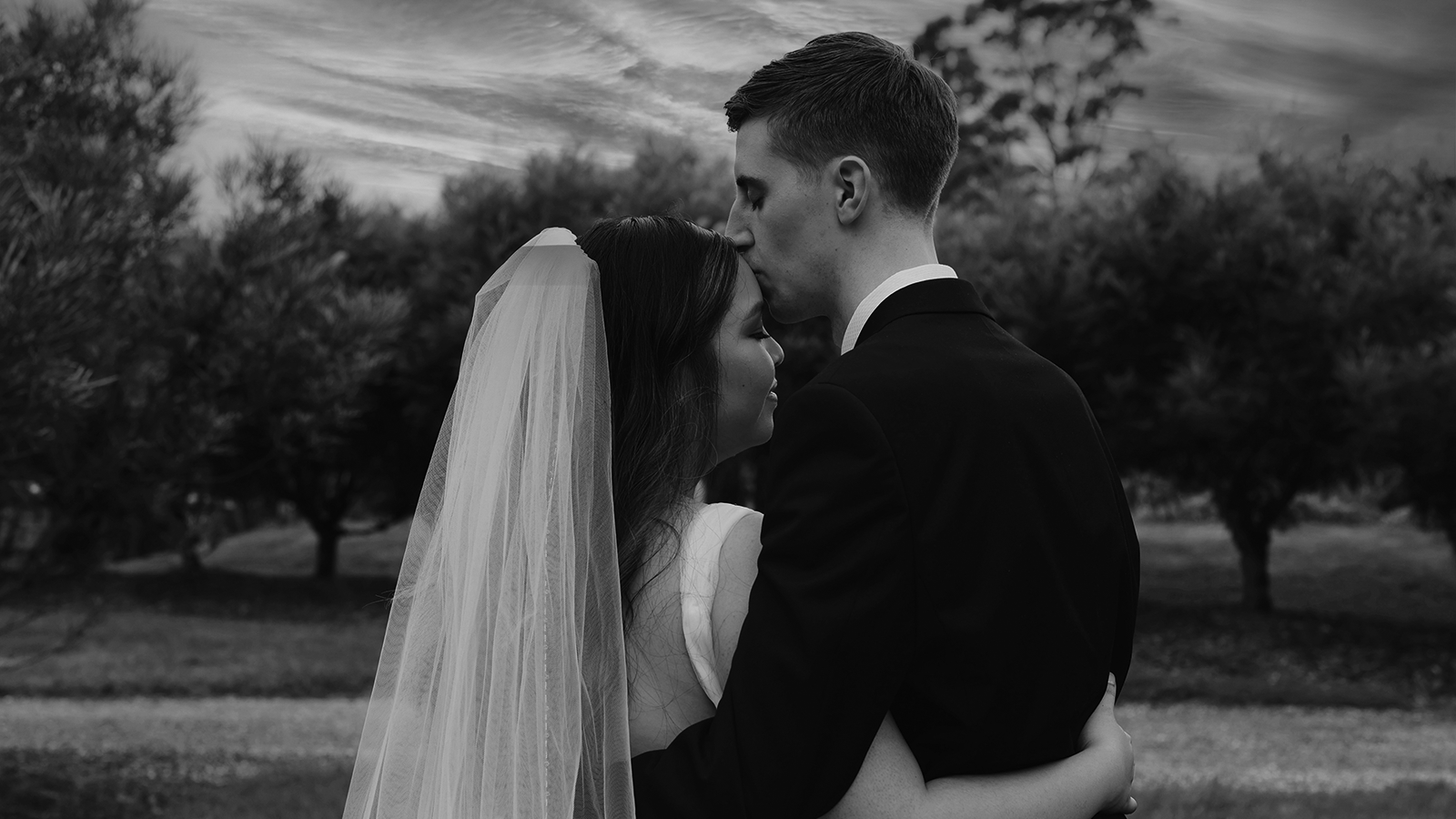A groom kissing his bride's forehead at sunset in front of an orchard